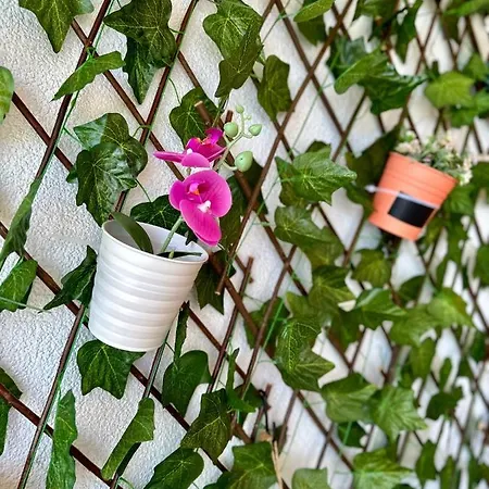 アパート Tranquilo *