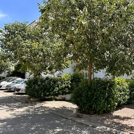 アパート Tranquilo